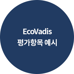 EcoVadis 평가항목 예시